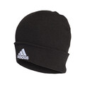 czapka adidas Logo Beanie FS9022