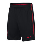 spodenki Nike Dry Poland Squad Shorts jr 893825 010
