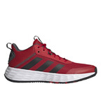 adidas Ownthegame 2.0 H00466