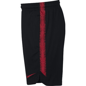 spodenki Nike Dry Poland Squad Shorts jr 893825 010