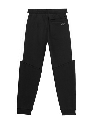 spodnie 4F jogger HJZ22-JSPMD002 20S