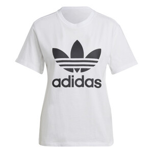koszulka adidas Adicolor Classic Trefoil Tee IK4036
