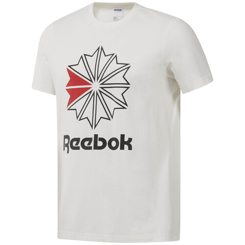 koszulka Reebok Classics Big Logo DH2098