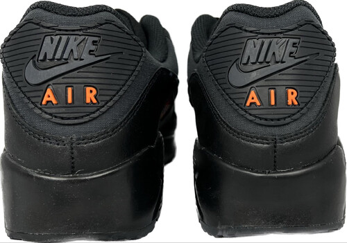 Nike Air Max 90 GTX DJ9779 002