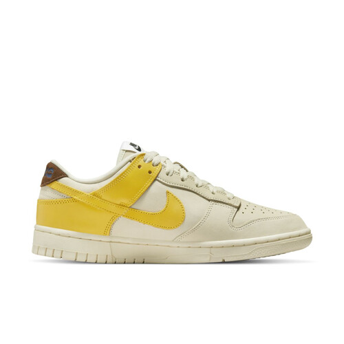 Nike Dunk Low DR5487 100
