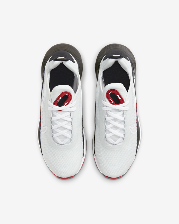 Nike Air Max 2090 DH4272 001