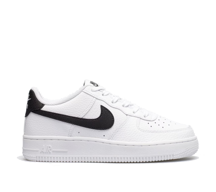 Nike Air Force 1 (GS) CT3839 100