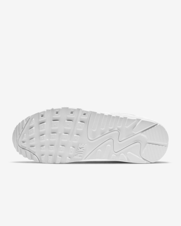 Nike Air MAx 90 WMNS DH4115 100