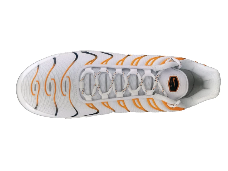 Nike Air Max Plus DV3507 100