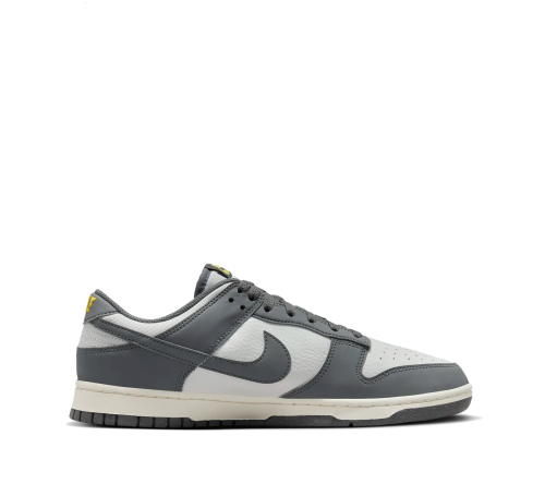 Nike Dunk Low Next Nature FZ4621 001