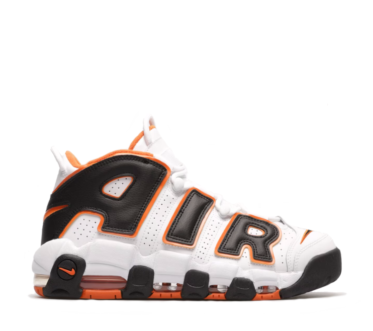 Nike Air More Uptempo '96 FJ4416 200