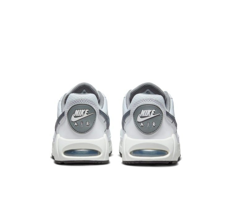Nike Air Max Ivo 579995 121
