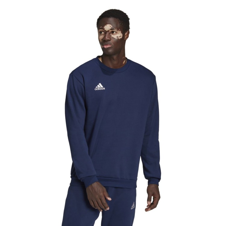 bluza adidas Entrada 22 H57480