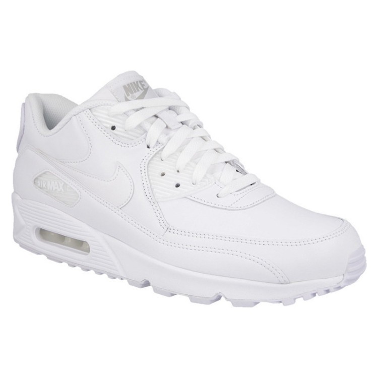 Nike Air Max 90 Leather 302519 113