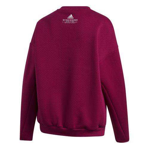 bluza adidas Z.N.E Sweatshirt GM3290