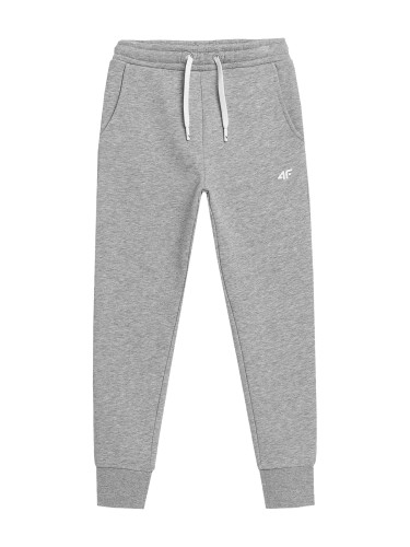 spodnie 4F jogger HJL22-JSPDD001 27M