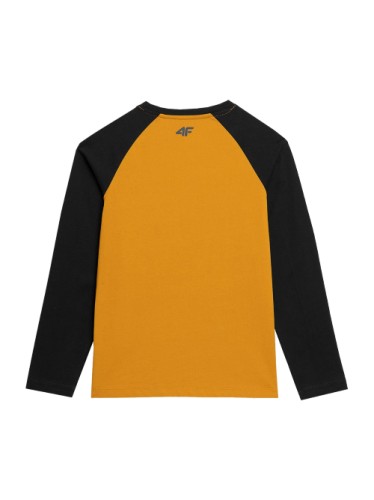 koszulka longsleeve 4f HJZ22-JTSML001 71S