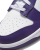 Nike Dunk Low Retro DD1391 104