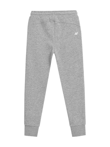 spodnie 4F jogger HJL22-JSPDD001 27M