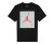 koszulka Air Jordan Poolside Tee CD0542 011