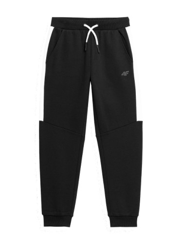 spodnie 4F jogger HJZ22-JSPMD002 20S 