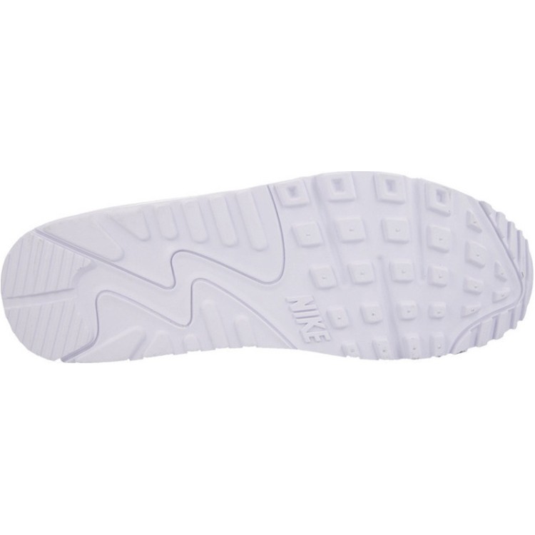 Nike Air Max 90 Leather 302519 113