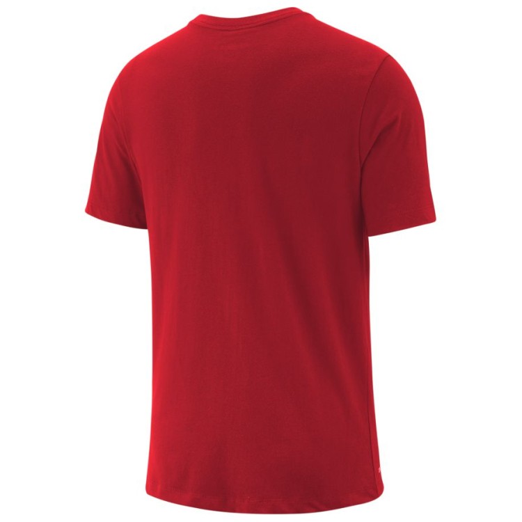 koszulka Jordan Jumpman CFCT Crew Tee BQ6740 687