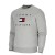  bluza Tommy Hilfiger 61781 MW0MW14204PG5