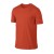 koszulka Nike Dri-FIT Cotton Short-Sleeve 2.0 706625 891