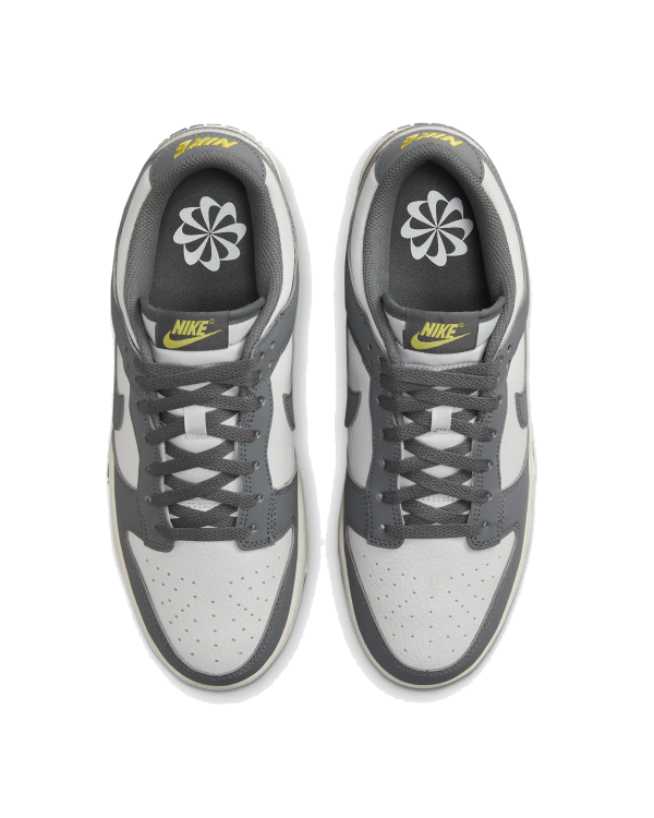 Nike Dunk Low Next Nature FZ4621 001