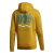bluza adidas Terrex Logo Hoodie FT9915