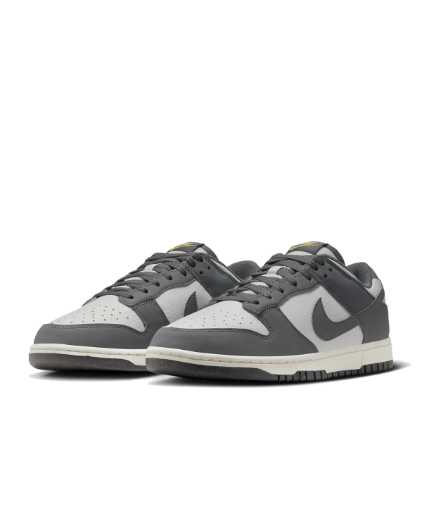 Nike Dunk Low Next Nature FZ4621 001