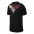 koszulka Jordan Wings Flight Logo AO0586 010
