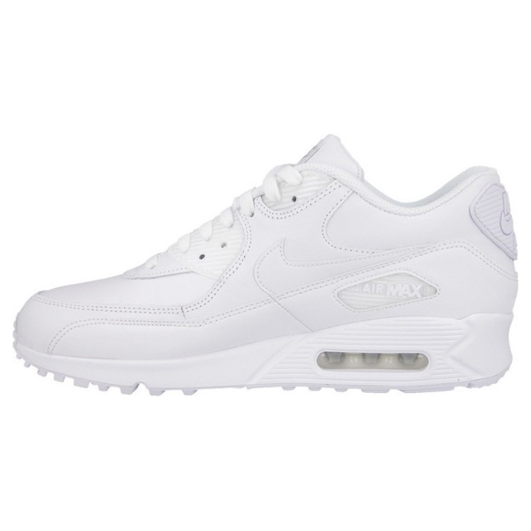 Nike Air Max 90 Leather 302519 113