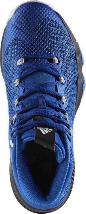 buty adidas Crazy Hustle J BW0511