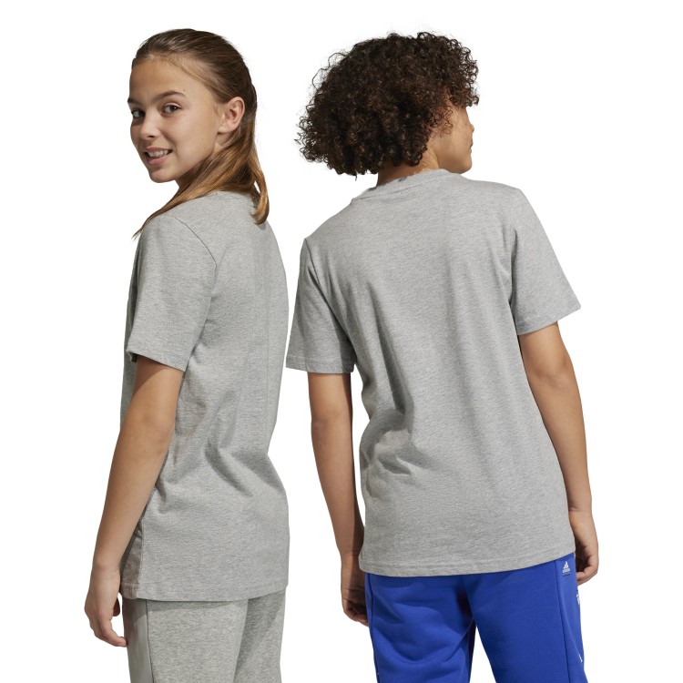 koszulka adidas Essentials Big Logo HR6379