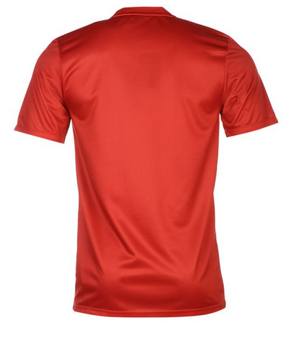 koszulka Nike Polska Euro Home 2016 724632 611