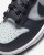 Nike Dunk Low (PSV) CW1588 004