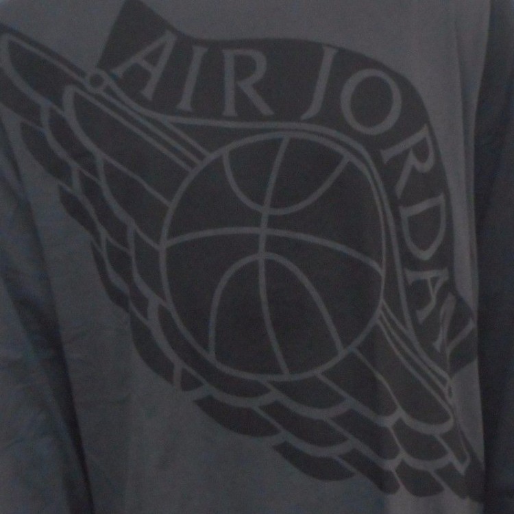 koszulka Air Jordan Wings Longsleeve 834482 010