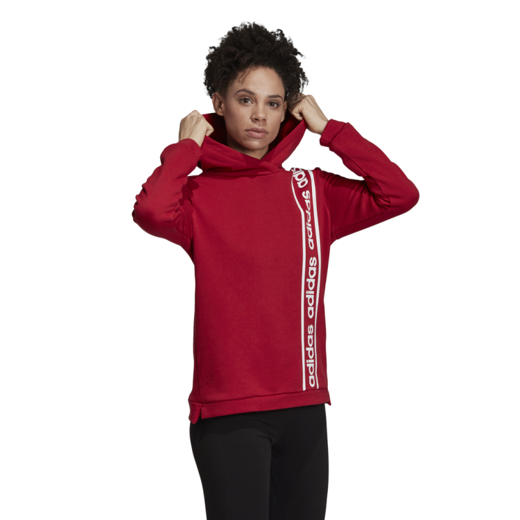 bluza adidas Celebrate the 90s Hoodie EH6463