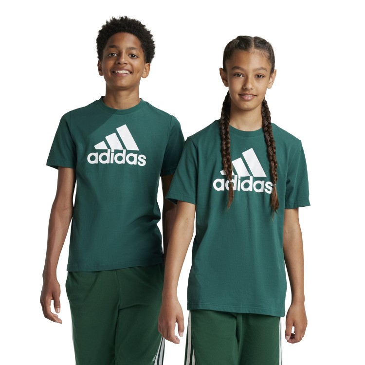 koszulka adidas Essentials Big Logo IX9569