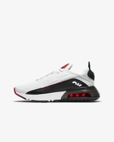 Nike Air Max 2090 DH4272 001