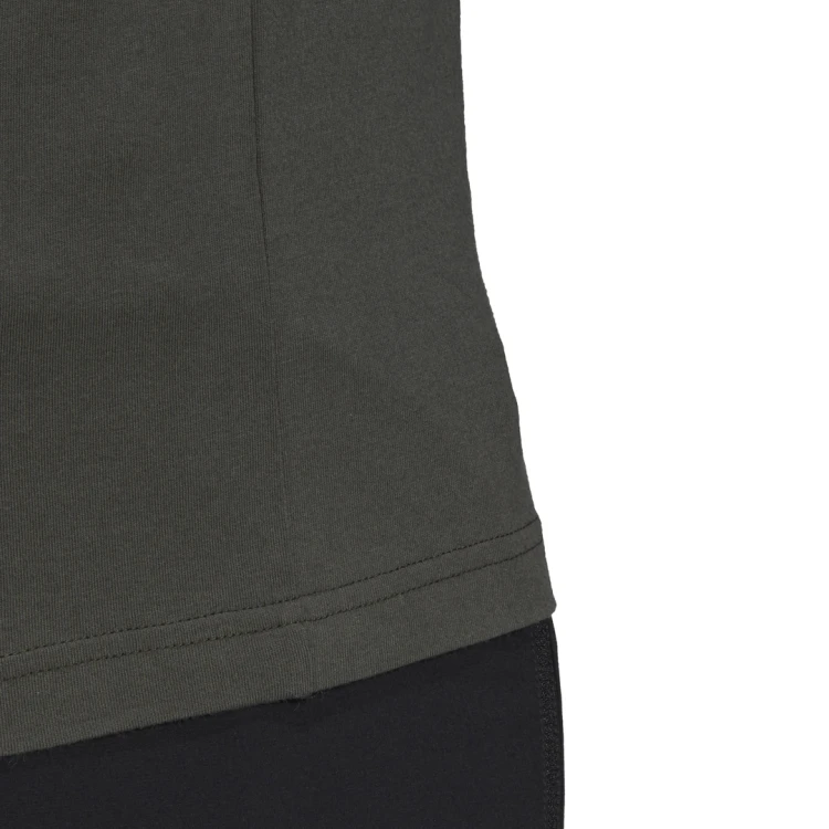 koszulka adidas Terrex Graphic Tee FT9916
