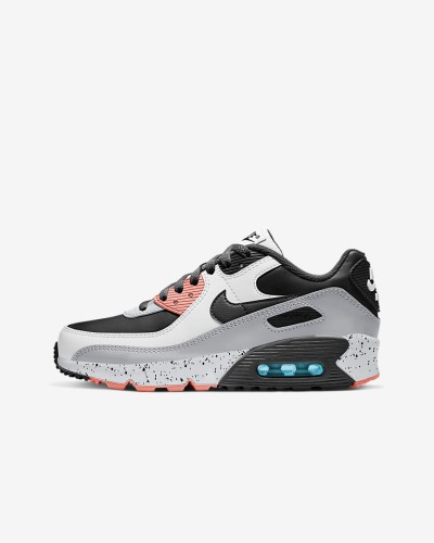 Nike Air Max 90 Ltr GS CD6864 110