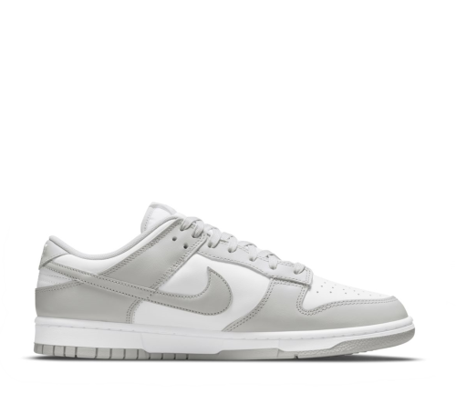 Nike Dunk Low Retro DD1391 103