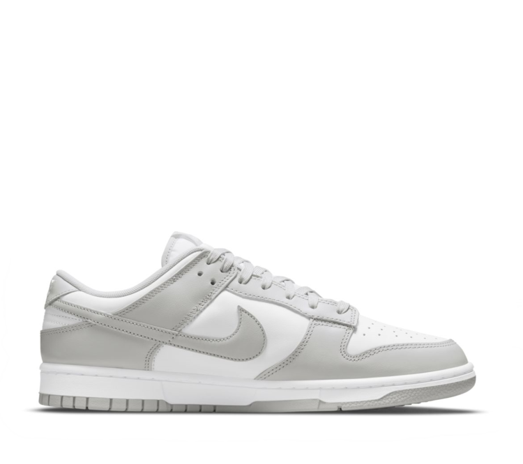 Nike Dunk Low Retro DD1391 103