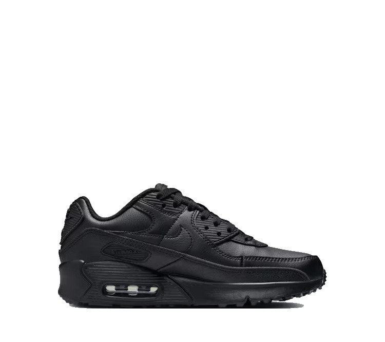 Nike Air Max 90 GS LTR CD6864 028