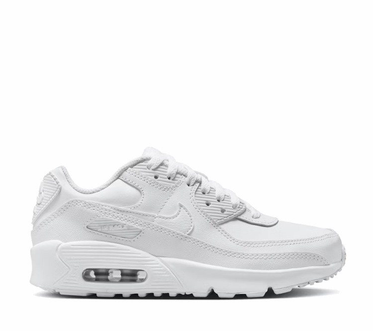 Nike Air Max 90 GS LTR CD6864 133