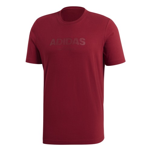  koszulka adidas Classics SW Identity Tee CZ9079