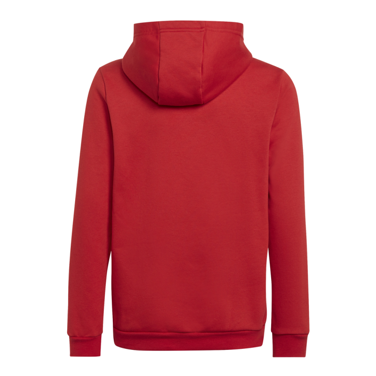 bluza junior adidas Entrada 22 H57566